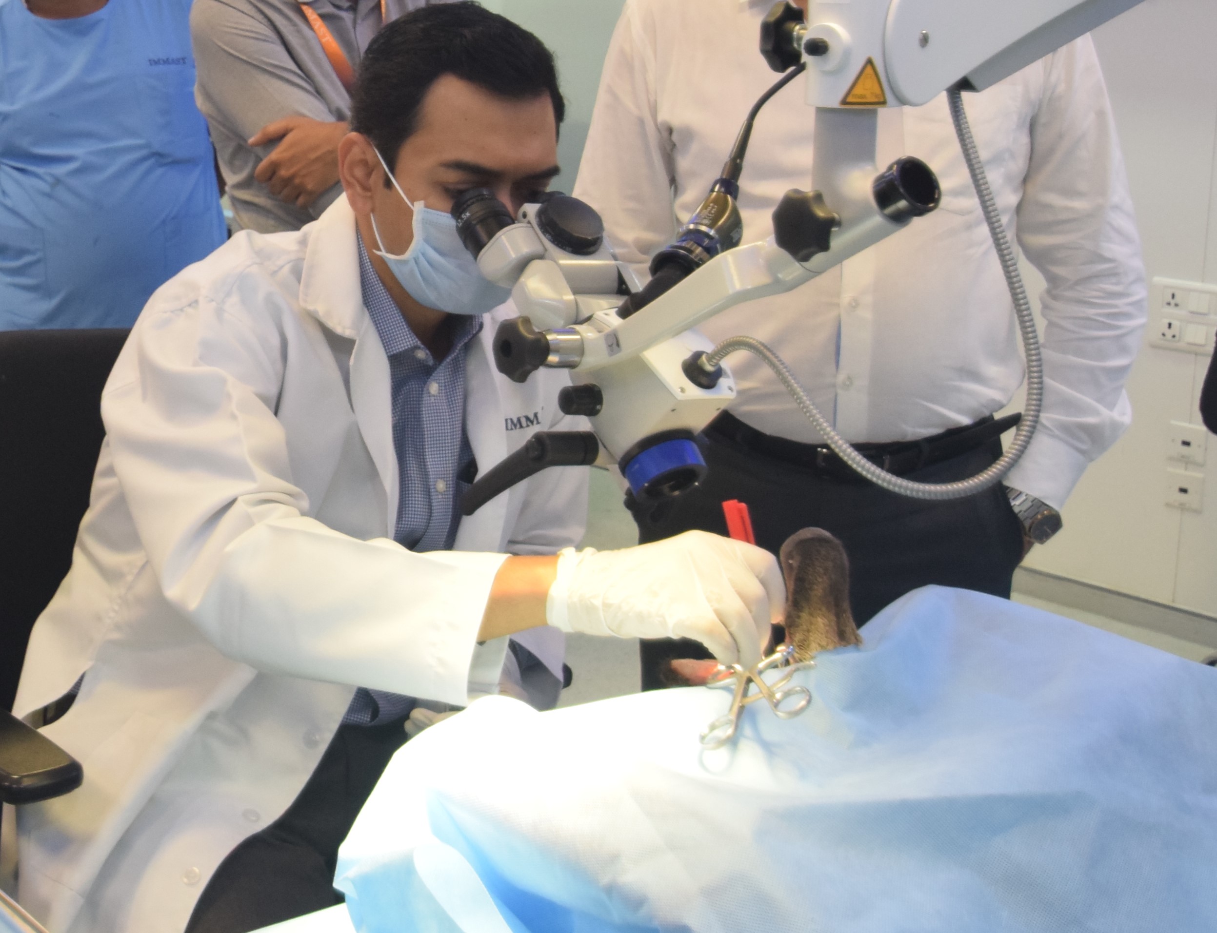 Master Course in Obstructive Sleep Apnoea